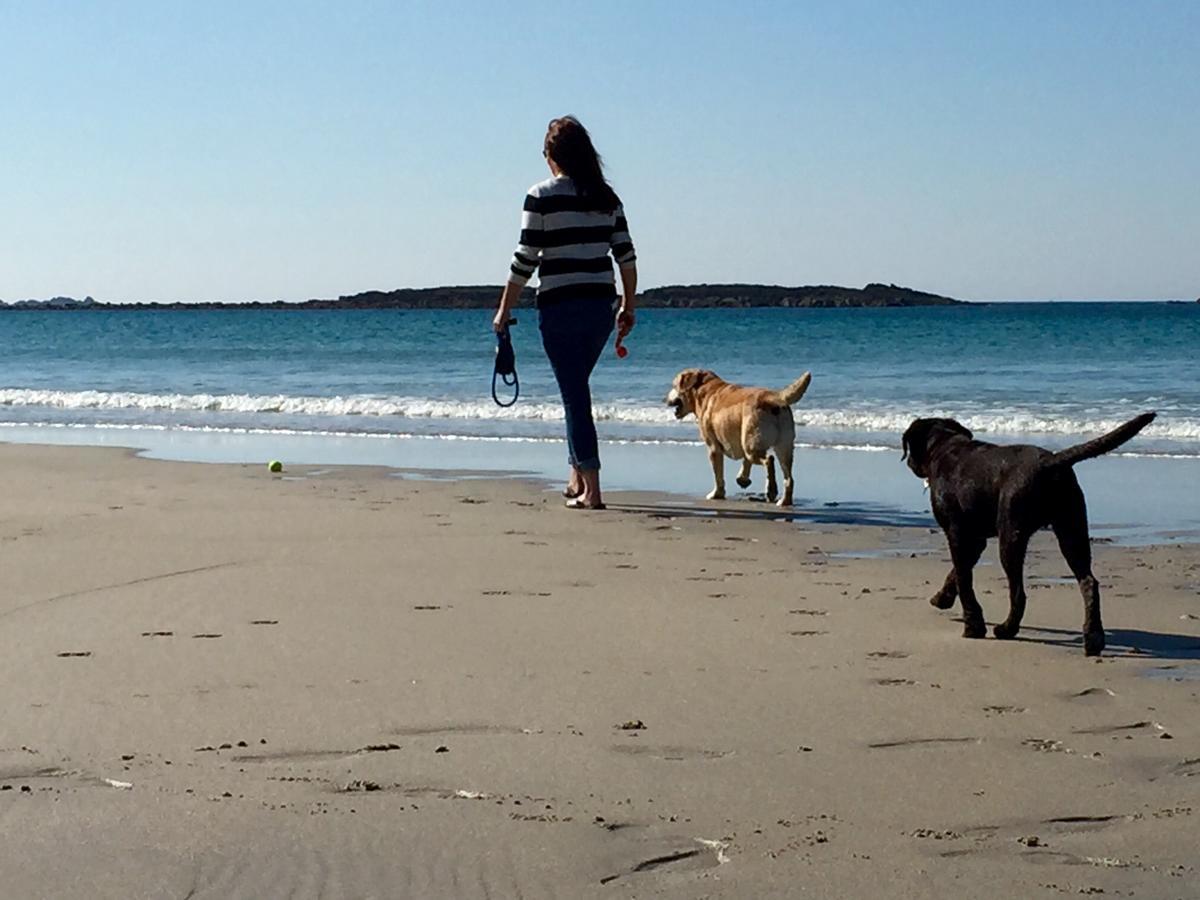 Roselands Caravan Park, Nr Lands End, Cornwall سانت جَست المظهر الخارجي الصورة